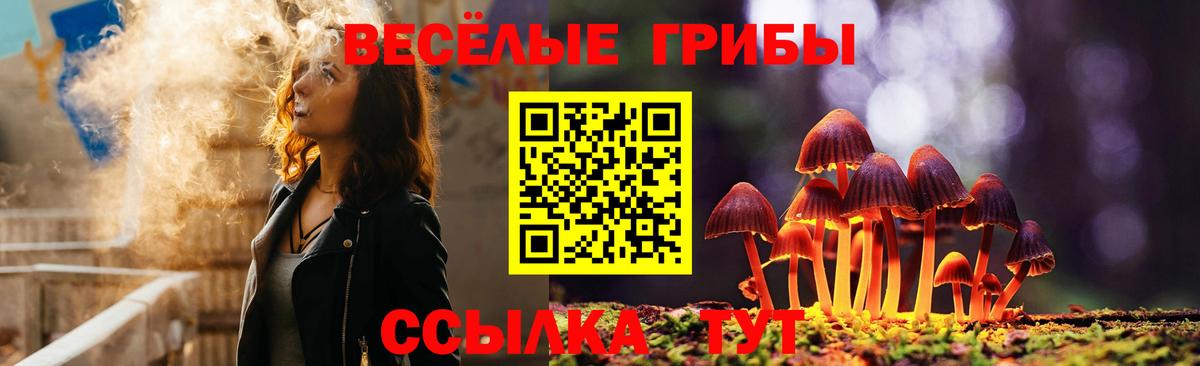 Галлюциногенные грибы GOLDEN TEACHER Майкоп